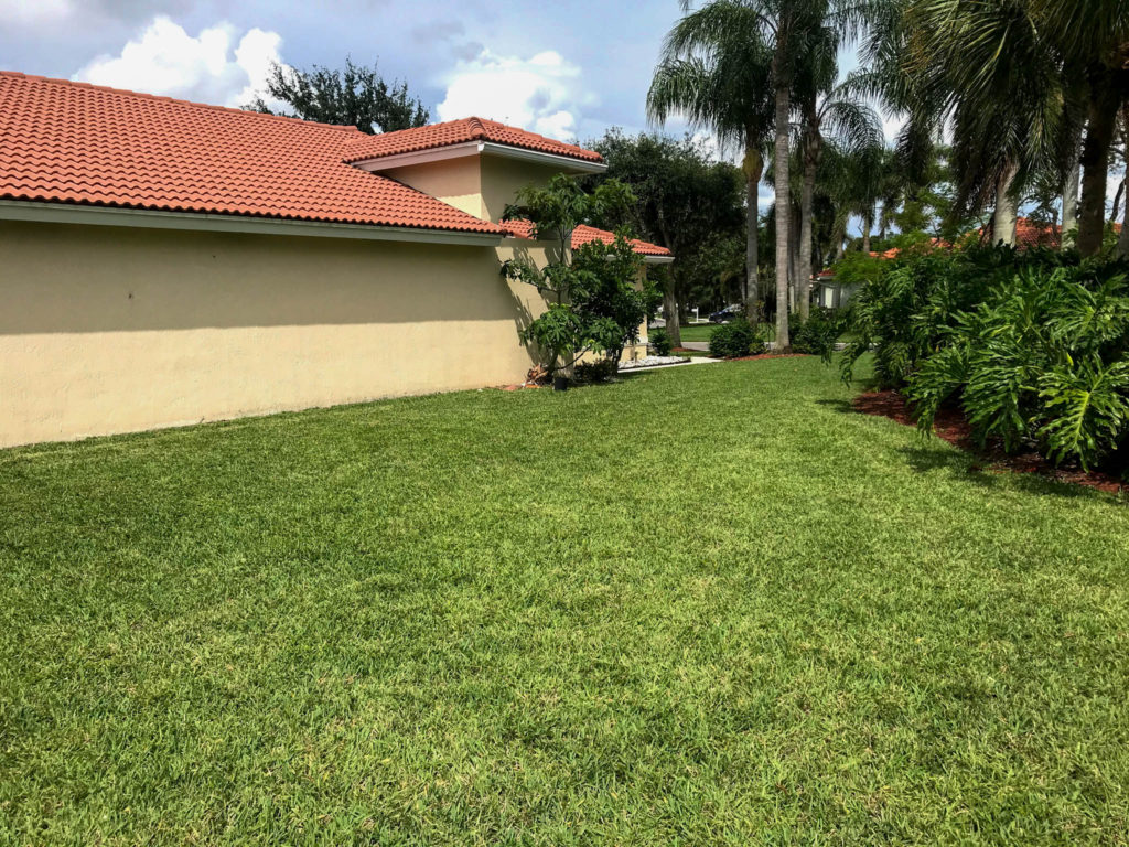 Tile roofing S. Florida